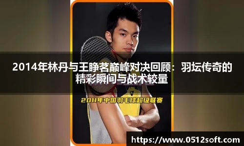 2014年林丹与王睁茗巅峰对决回顾：羽坛传奇的精彩瞬间与战术较量