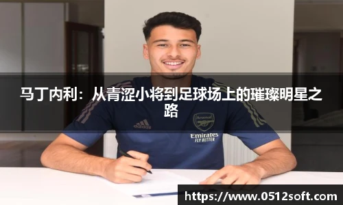 马丁内利：从青涩小将到足球场上的璀璨明星之路